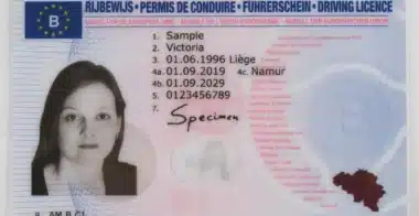 Дубликат прав Бельгии