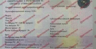 Дубликат СТС России